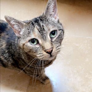 Meet your Posher, Claire